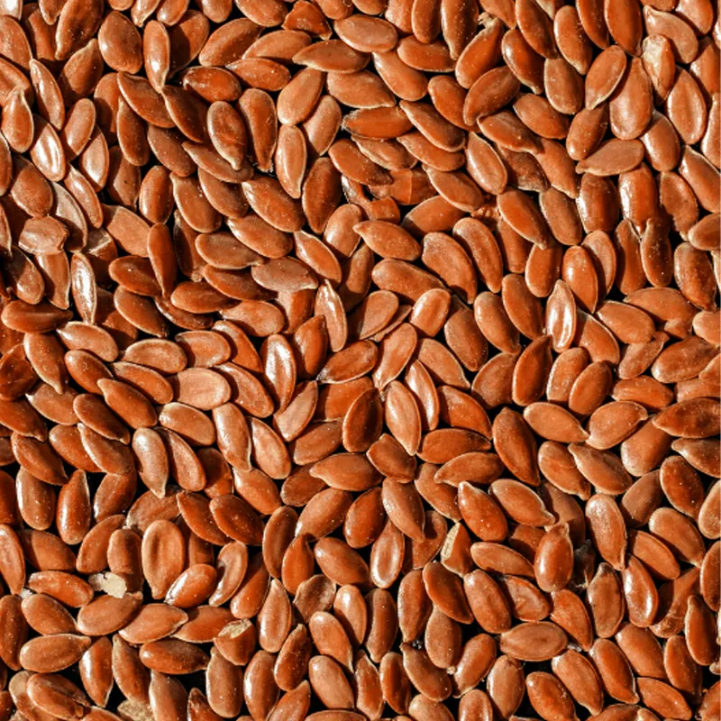 Flax Seeds